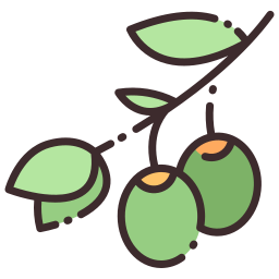 olive icon