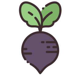 Radish icon