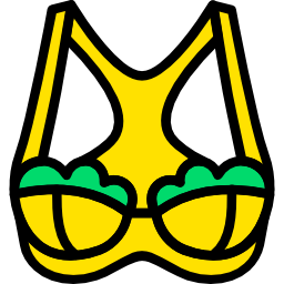 Brassiere icon