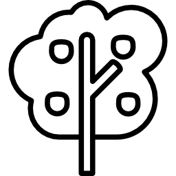 Apple tree icon