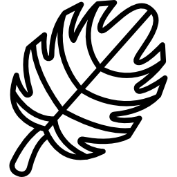 Leaf icon