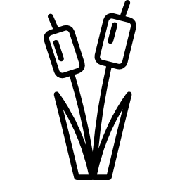 Reed bed icon