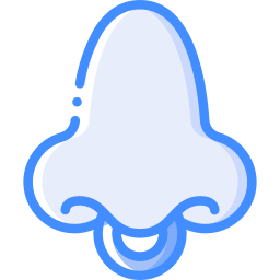 Nose icon