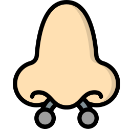 Nose icon