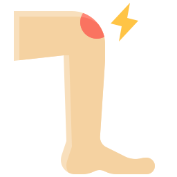 knie icon