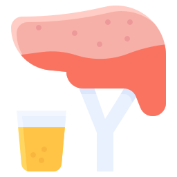 Liver icon