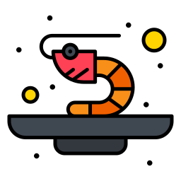 Shrimp icon