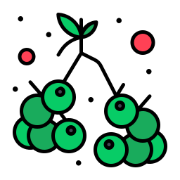 Grape icon