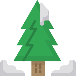 Pine tree icon