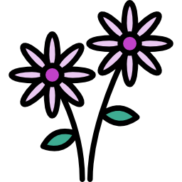 gänseblümchen icon