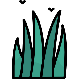 aloe vera icon