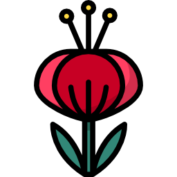 blume icon