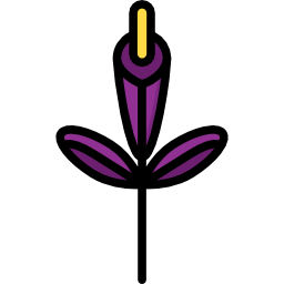 gladiole icon