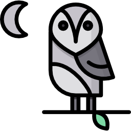 hibou Icône