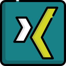 Xing icon