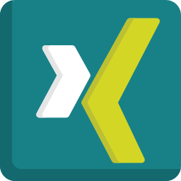 xing icon