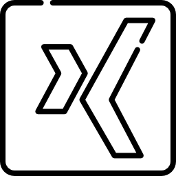 xing icon