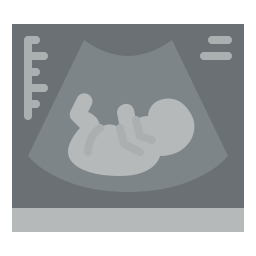 Ultrasound icon