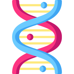 adn Icône