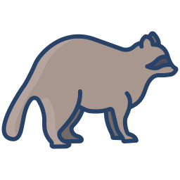 waschbär icon