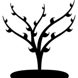 baum mit wachsenden blättern des frühlings icon