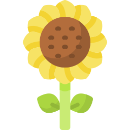 Sunflower icon