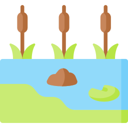 Swamp icon