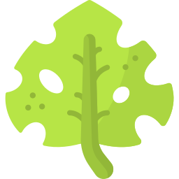 Leaf icon