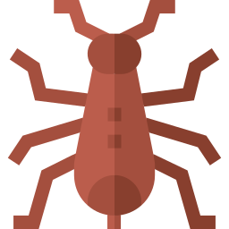 Earwig icon