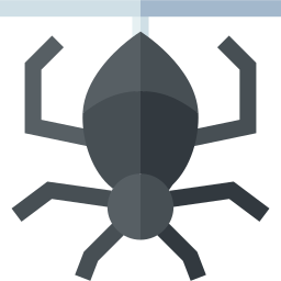 spinne icon