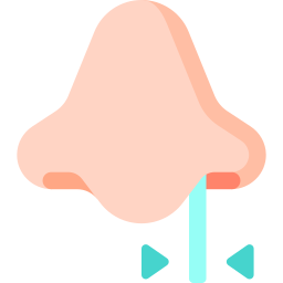 Nasal icon