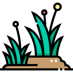 gras icon