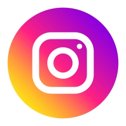 instagram Icône