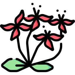 Ixora icon