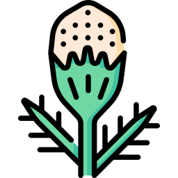 Pineappleweed icon