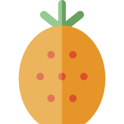 ananas icon