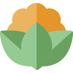 blumenkohl icon