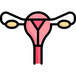 uterus icon