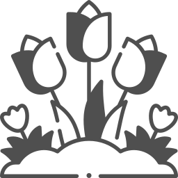 tulpen icon