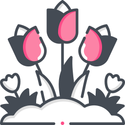 Tulips icon