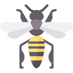 Bee icon