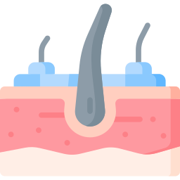 seborrhoische dermatitis icon