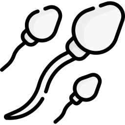 Sperm icon