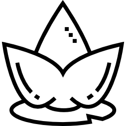 lotus icon