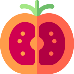 tomate icon