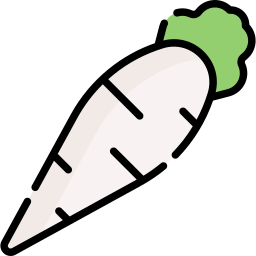 Radish icon