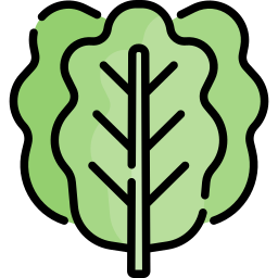 Kale icon