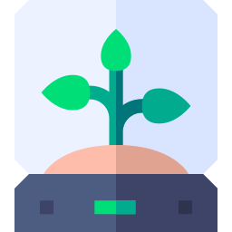 plante Icône