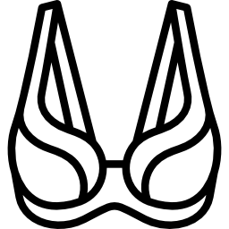 Brassiere icon