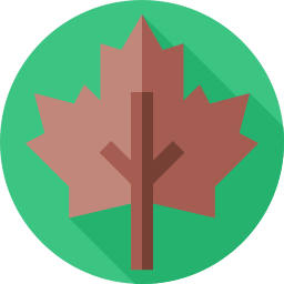 Maple leaf icon